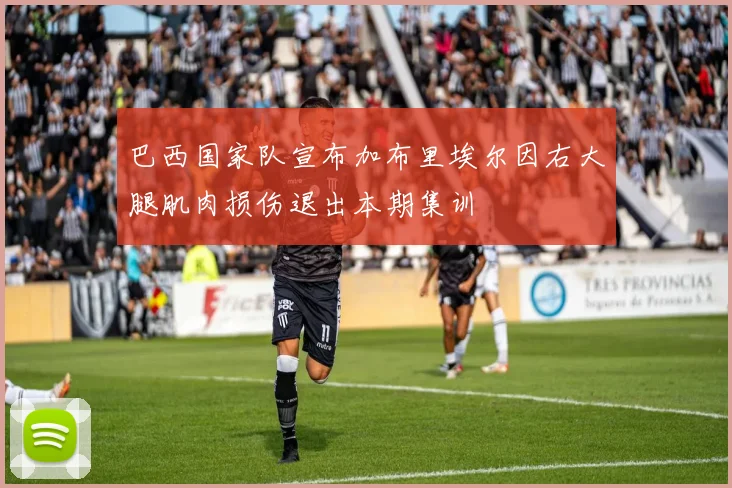 巴西国家队宣布加布里埃尔因右大腿肌肉损伤退出本期集训