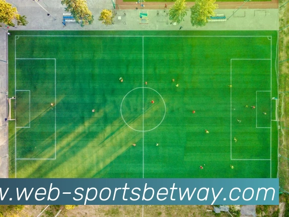 必威体育APP 体育赛事宣传图